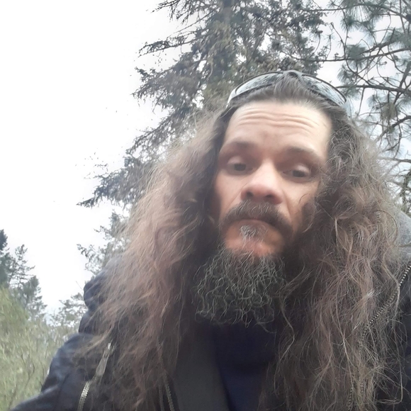 Free to good home - Picture 8 of 16